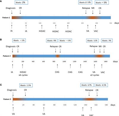 A Combined Histone Deacetylases Targeting Strategy to Overcome Venetoclax Plus Azacitidine Regimen Resistance in Acute Myeloid Leukaemia: Three Case Reports